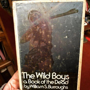 First Edition: The Wild Boys - A Book of the Dead by William S. Burroughs